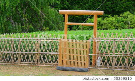 A new hemp field for the Daegu Festival A new hemp field for the Daegu Festival 58269810