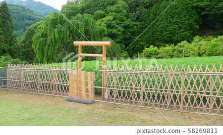 A new hemp field for the Daegu Festival 58269811