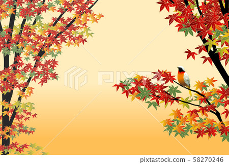 秋葉週比塔基3 58270246