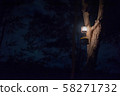 Lantern hanging on a tree 58271732