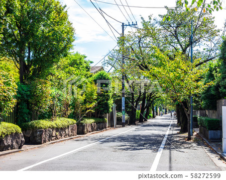 Seijo, a quiet residential area Seijo, a quiet residential area 58272599