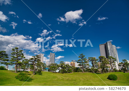 藍天，綠色和建築物 58274670