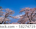 Sakura and Mt. Fuji 58274719