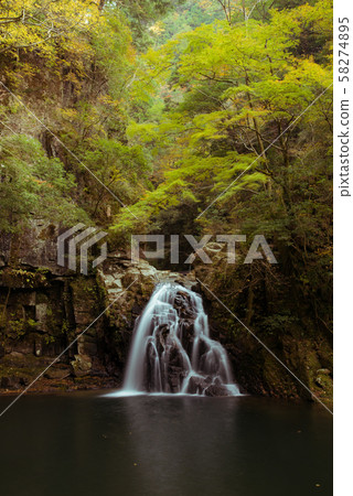 Red-Eyes Advance Falls Red-Eyes Advance Falls 58274895