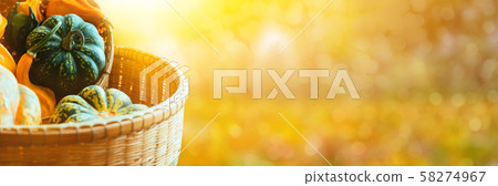 Fall harvest cornucopia. Autumn season with fruit Fall harvest cornucopia. Autumn season with fruit 58274967
