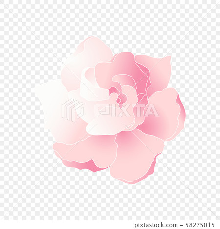 Isolated pink flower. Vector floral element 58275015