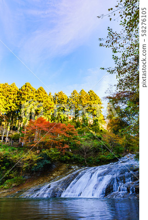 Autumn image of Japan: Scenery of Takimata Falls, a famous place in the Yoro Valley, a famous spot for autumn leaves in the Tokyo metropolitan area and a symbol of Chiba 58276105