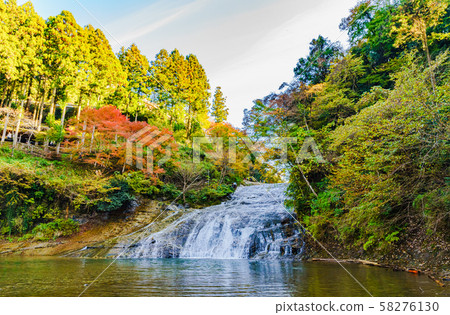 日本的秋天形象:Takimata瀑布的風景,Yoro山谷的著名地方,東京大都市區的秋葉的著名景點和千葉的象徵 日本的秋天形象:Takimata瀑布的風景,Yoro山谷的著名地方,東京大都市區的秋葉的著名景點和千葉的象徵 58276130