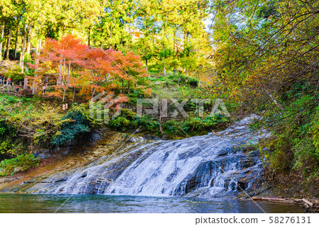 日本的秋天形象:Takimata瀑布的風景,Yoro山谷的著名地方,東京大都市區的秋葉的著名景點和千葉的象徵 日本的秋天形象:Takimata瀑布的風景,Yoro山谷的著名地方,東京大都市區的秋葉的著名景點和千葉的象徵 58276131