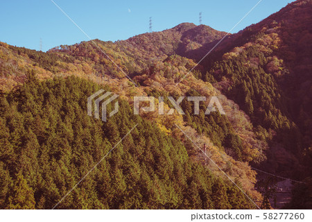 岐阜縣紅葉T京 岐阜縣紅葉T京 58277260