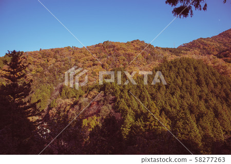 岐阜縣紅葉T京 岐阜縣紅葉T京 58277263