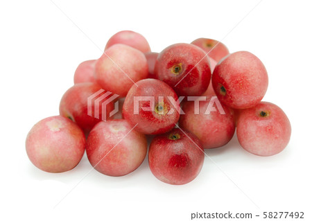 antidesma, thwaitesianum, isolated, background, 58277492