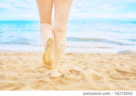 Sunny day on the beach Sunny day on the beach 58278002