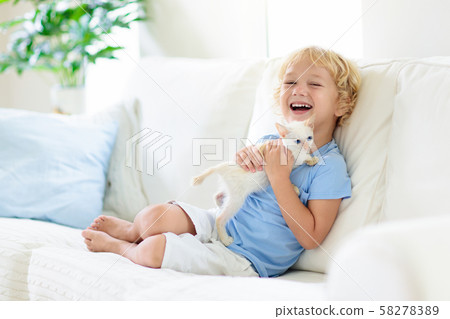 Child playing with baby cat. Kid and kitten. Child playing with baby cat. Kid and kitten. 58278389