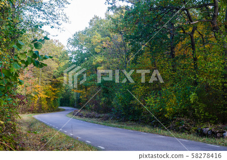 Curved country road in fall season colors Curved country road in fall season colors 58278416