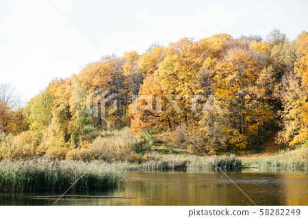 A lake in the autumn forest in the soft sunset light. Beautiful sunny autumn A lake in the autumn forest in the soft sunset light. Beautiful sunny autumn 58282249