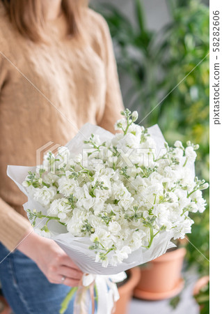Spring floral. Fresh A bouquet of white Mattioli close up. Womens or Mothers Day Theme. Fresh cut Spring floral. Fresh A bouquet of white Mattioli close up. Womens or Mothers Day Theme. Fresh cut 58282606
