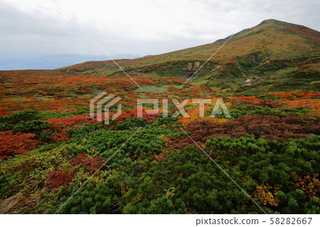 秋天的Kurikoma山 58282667
