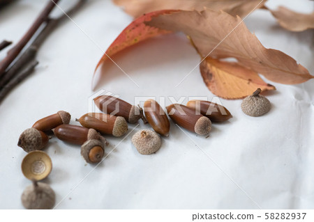 落葉和橡子在秋天的樹林中撿起 58282937