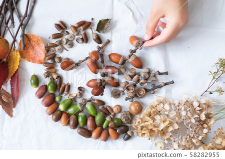 落葉和橡子在秋天的樹林中撿起 58282955