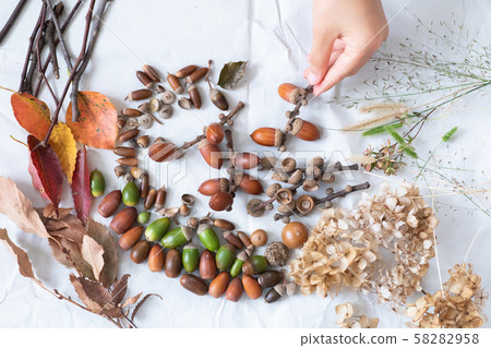 落葉和橡子在秋天的樹林中撿起 落葉和橡子在秋天的樹林中撿起 58282958