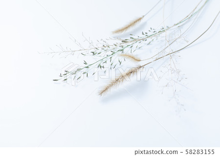 孩子們在秋天的樹林撿起的橡子和落葉 孩子們在秋天的樹林撿起的橡子和落葉 58283155