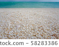 Seashell beach 58283386