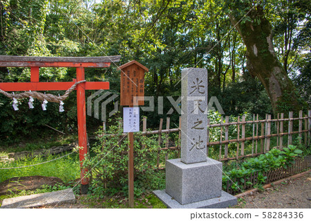 久喜市小天王市近宮神社 久喜市小天王市近宮神社 58284336