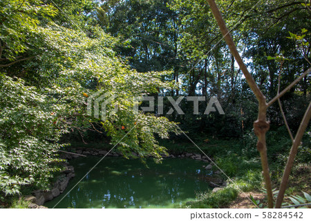 Kinomiya Shrine precincts, Kotennoike, Kuki City 58284542
