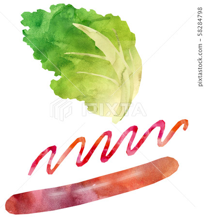 Hot dog buns illustration set 58284798