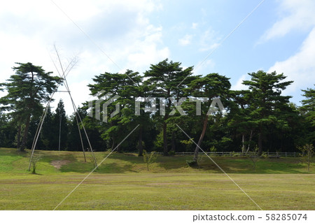石川縣保健林 石川縣保健林 58285074
