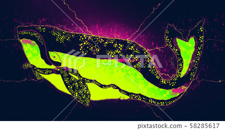 浮世繪鯨第1部分網絡 浮世繪鯨第1部分網絡 58285617