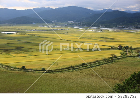 十月蘆葦場順天灣 58285752