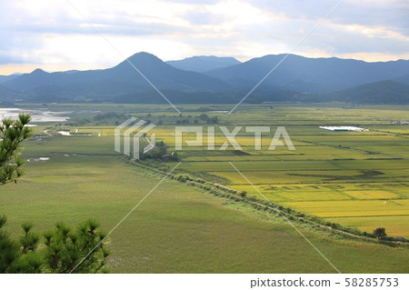 十月蘆葦場順天灣 58285753