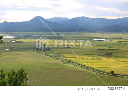 十月蘆葦場順天灣 58285754