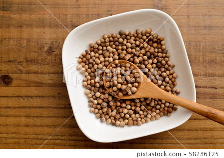 coriander 58286125