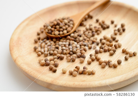 coriander 58286130