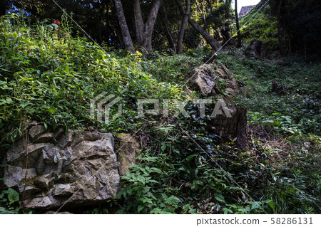Yonago Castle climbing Ishigaki 58286131