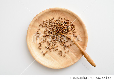 coriander coriander 58286132