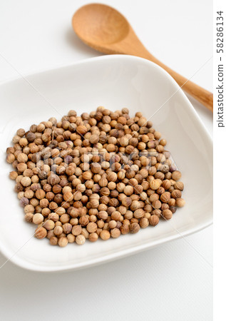 coriander 58286134