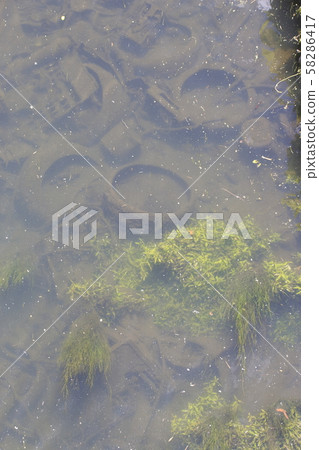 Illegal dumping garbage and Shigekawa Illegal dumping garbage and Shigekawa 58286417