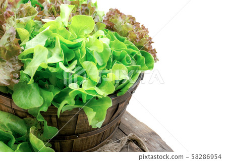 Vegetables on basket with isolated background. Vegetables on basket with isolated background. 58286954