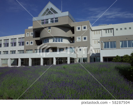 Lavender _ Furano Midorine High School Lavender _ Furano Midorine High School 58287504