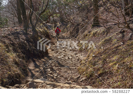 神奈川縣伊勢原大山市大山口山徑25丁目附近的遠足者 神奈川縣伊勢原大山市大山口山徑25丁目附近的遠足者 58288227