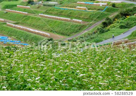 繞過梯田 繞過梯田 58288529