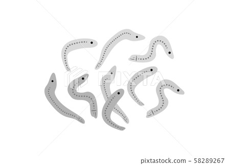 小魚 小魚 58289267