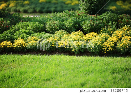 Suncheon Bay National Garden, Garden Suncheon Bay National Garden, Garden 58289745