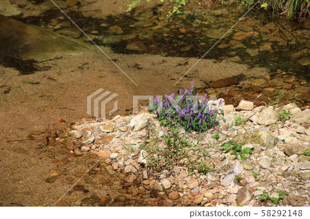 國家公園，北漢山，圓 58292148