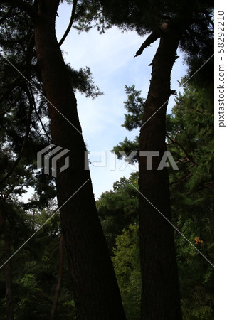 國家公園,北漢山,圓 國家公園,北漢山,圓 58292210