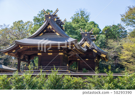 城宮神社 城宮神社 58293390